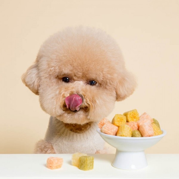 페오펫몰,[핏펫] 잇츄 소프트 4종 (밀크/펌킨/베지/치즈) 유산균 덴탈껌