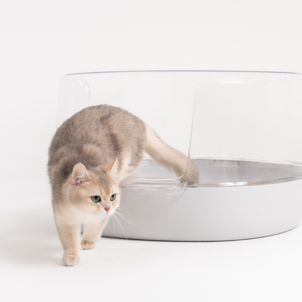 페오펫몰,[핏펫] 냥쌤 배변 스트레스 걱정 없는 고양이 투명화장실(연그레이)