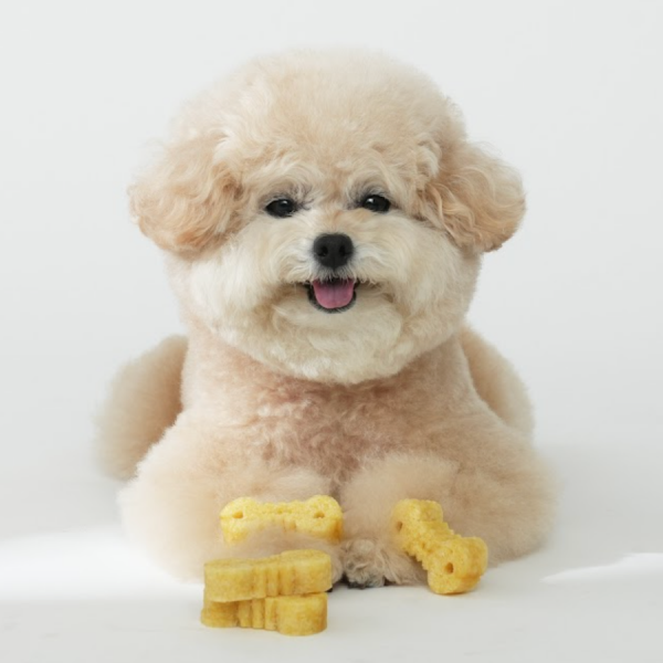 페오펫몰,[꽃길특가][핏펫]잇츄 강아지 대용량 덴탈껌 허니골드 S 34개입 340g