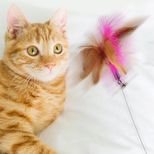 페오펫몰,[여름맞이특가] 고양이목걸이장난감 혼자 좋아하는 움직이는