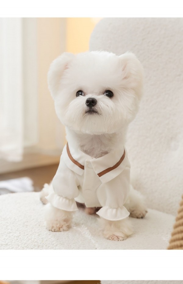 페오펫몰,[댕린이특가] 강아지데님셔츠 가을 애견 실내