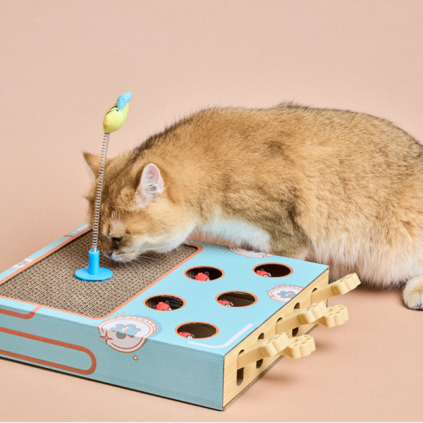 페오펫몰,[댕린이특가] 고양이장남감 고양이사냥놀이 두더지잡기 행동유발 놀이감