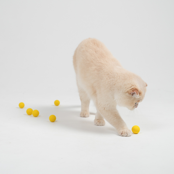 페오펫몰,[여름맞이특가] 고양이장난감총 아기 새끼 혼자 분리불안 토이볼