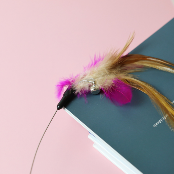 페오펫몰,[여름맞이특가] 고양이목걸이장난감 혼자 좋아하는 움직이는