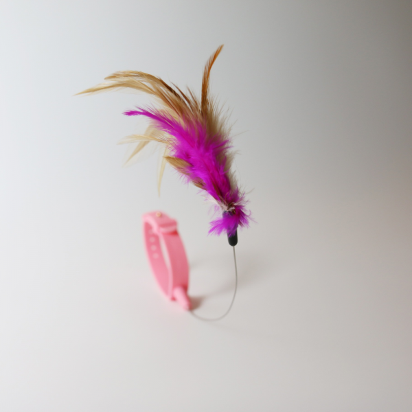 페오펫몰,[여름맞이특가] 고양이목걸이장난감 혼자 좋아하는 움직이는