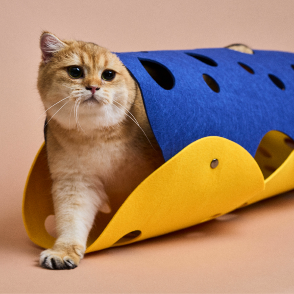 페오펫몰,[댕린이특가] 고양이터널숨숨집 강아지 하우스 펠트 원형