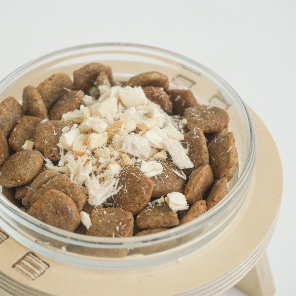 페오펫몰,바야 동결건조간식 트릿 기호성 미니 북어 테스터팩 10g 외 5종