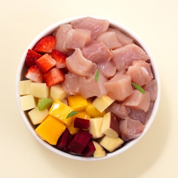 페오펫몰,포옹 생식선생 체험 패키지 강아지 생식 500g