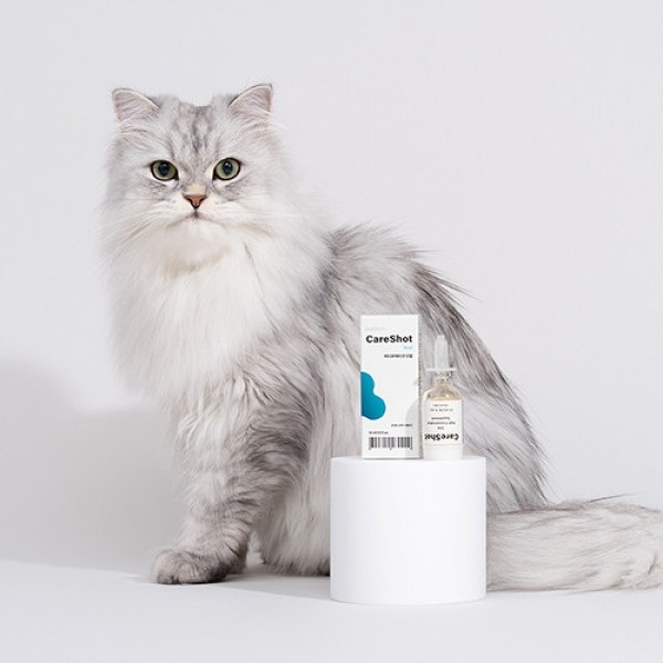 페오펫몰,[버디부] 케어샷 오랄 구강영양제 15ml