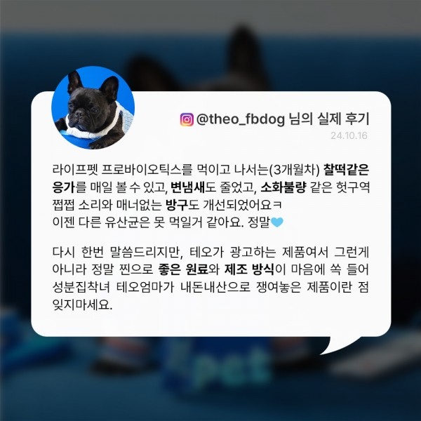 페오펫몰,[여름맞이특가] 라이프펫 강아지 유산균 면역영양제 프로바이오틱스 60g