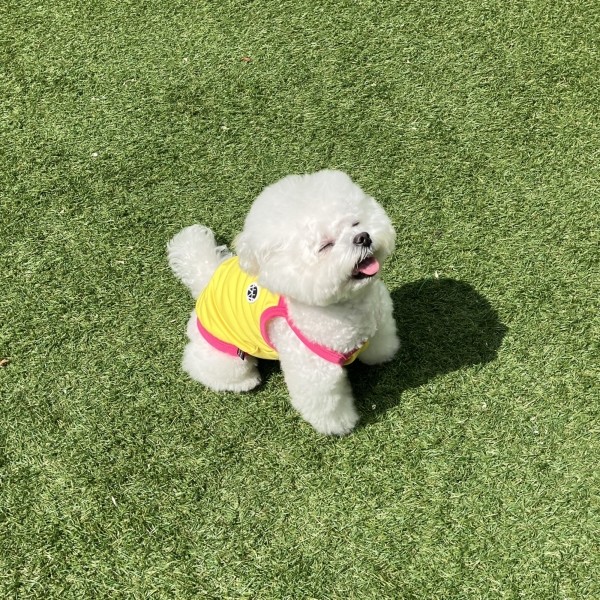 페오펫몰,[댕캉스특가] 우니토  기능성 쿨링 해충방지 썸머 쿨탑