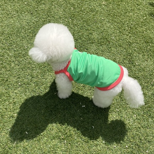 페오펫몰,[댕캉스특가] 우니토  기능성 쿨링 해충방지 썸머 쿨탑