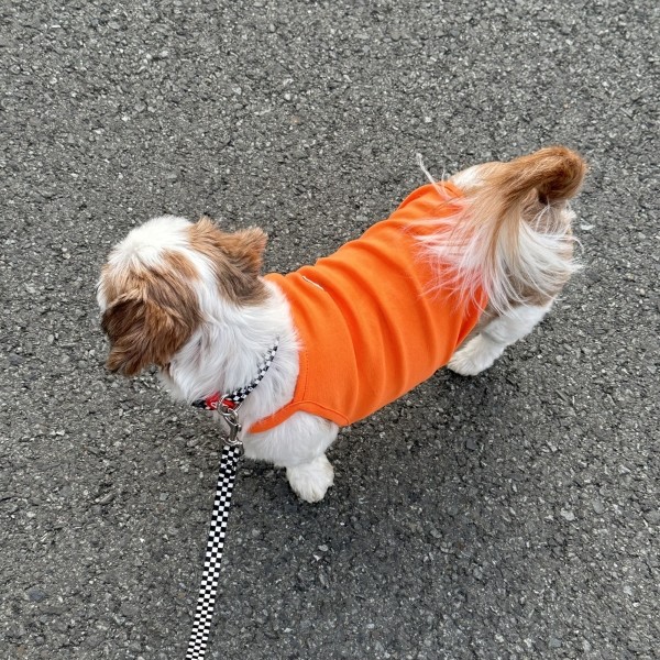 페오펫몰,우니토 데일리워크 나시티