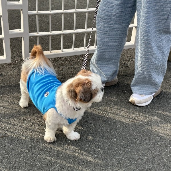 페오펫몰,우니토 데일리워크 나시티