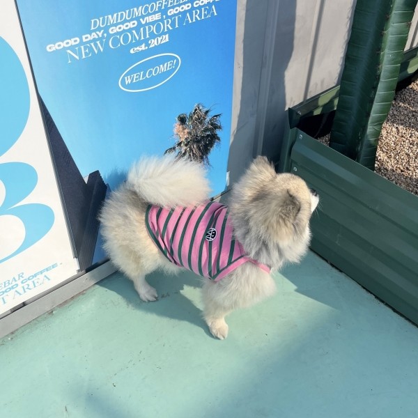 우니토 허니비 강아지나시