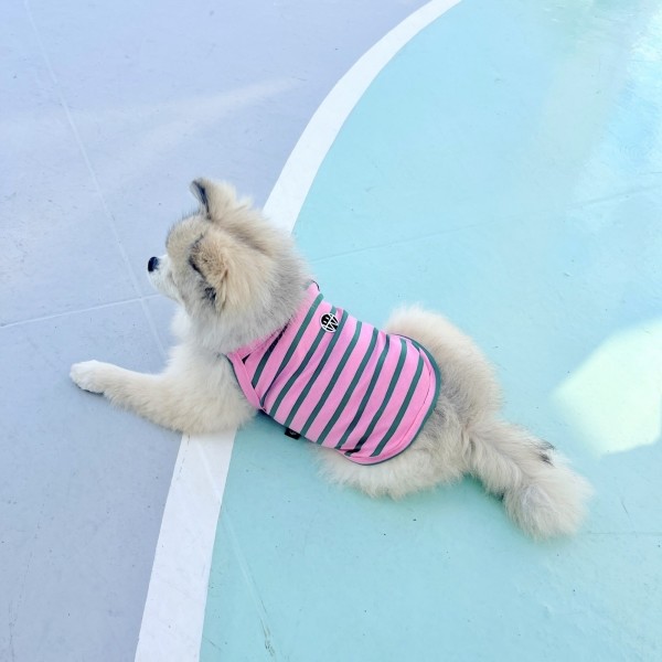 페오펫몰,우니토 허니비 강아지나시