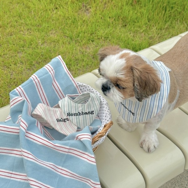 페오펫몰,우니토 강아지 고양이 자수케이프 네임택