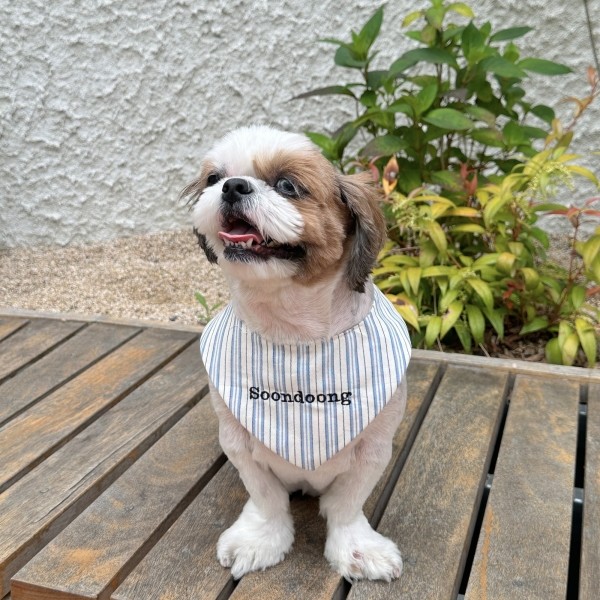 페오펫몰,우니토 강아지 고양이 자수케이프 네임택