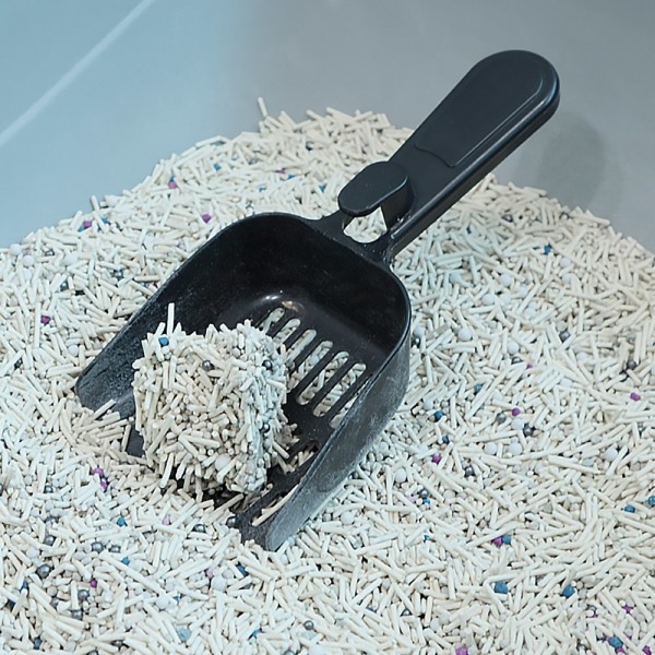 페오펫몰,딩동펫 고양이 수퍼 식스 벤토나이트 두부 모래 2.5kg 6개