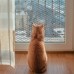 썸네일(스크롤)