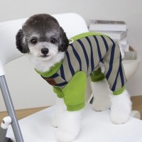 딩동펫 반려동물 배색 스트라이프 올인원 하네스