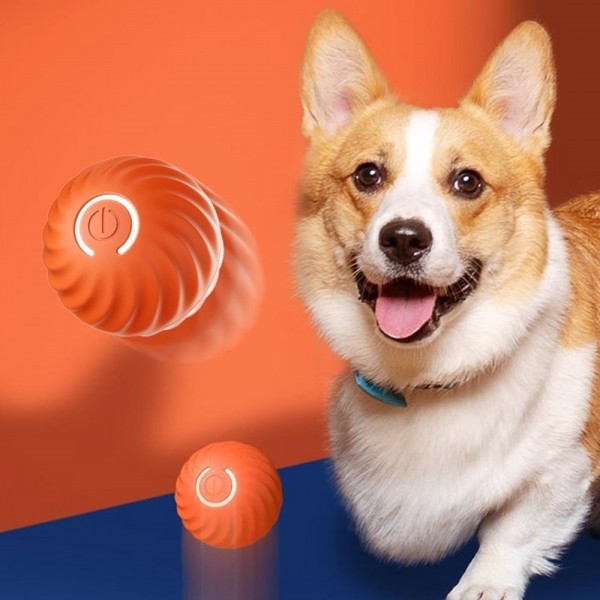 페오펫몰,딩동펫 반려동물 움직이는 자동 롤링볼 장난감