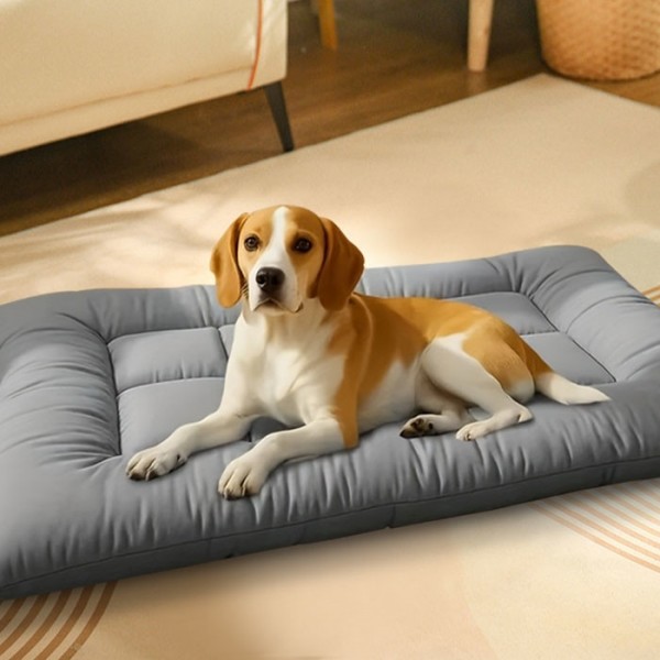 페오펫몰,딩동펫 반려동물 통세탁 슈퍼베드 방석