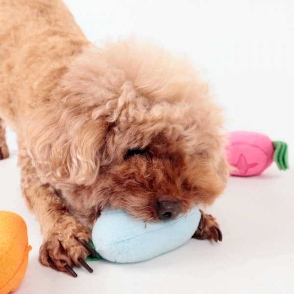 페오펫몰,딩동펫 반려동물 당근 노즈워크 삑삑이 인형 4종 세트