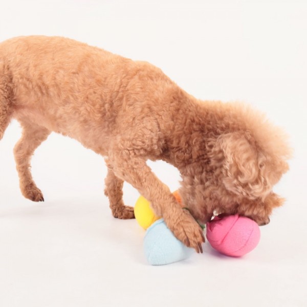 페오펫몰,딩동펫 반려동물 당근 노즈워크 삑삑이 인형 4종 세트