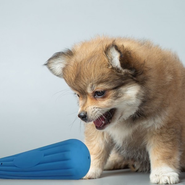 페오펫몰,딩동펫 반려동물 라텍스 야구방망이 삑삑이 장난감