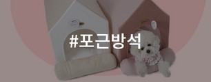 포근방석기획전