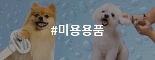 강아지겨울옷기획전