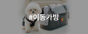 이동가방